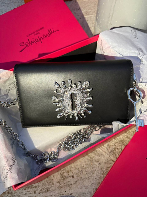 Сумка SCHIAPARELLI 34807