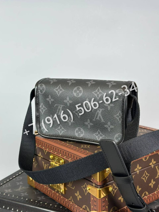 Сумка Louis Vuitton 24872 6