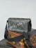 Сумка Louis Vuitton 24872 6