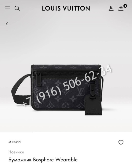 Сумка Louis Vuitton 24872 6