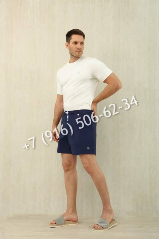 Плавательные шорты Loro Piana 26207 2