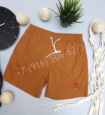 Плавательные шорты Loro Piana 15809