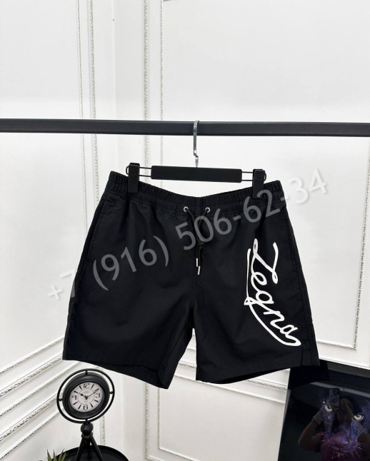 Плавательные шорты Zegna 28103