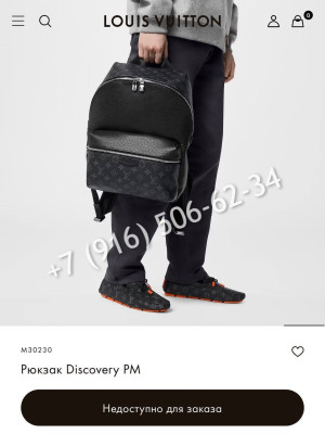 Рюкзак Louis Vuitton 31866 4