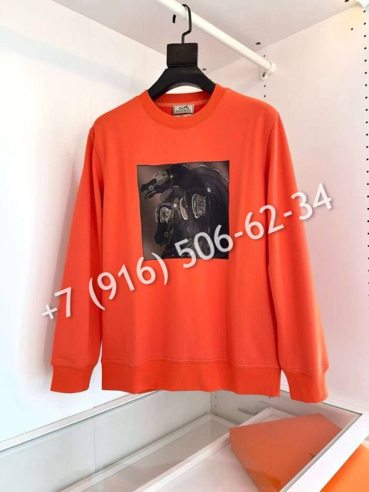 Толстовка Hermes 8137 1