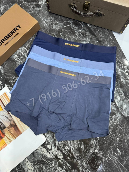 Нижнее белье Burberry 33410 1