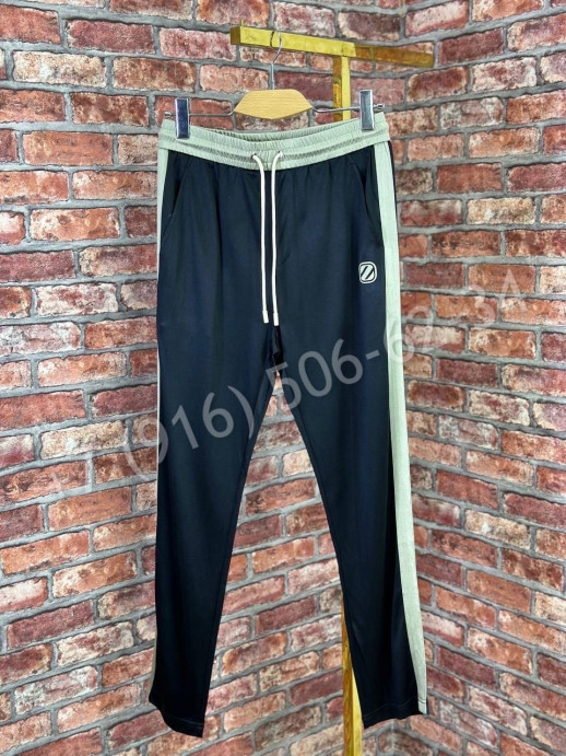 Спортивные штаны Zegna 23141