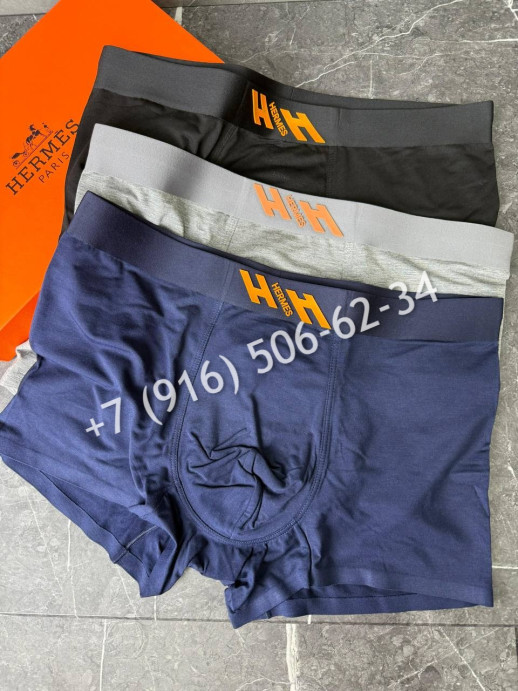 Нижнее Белье Hermes 18911 1