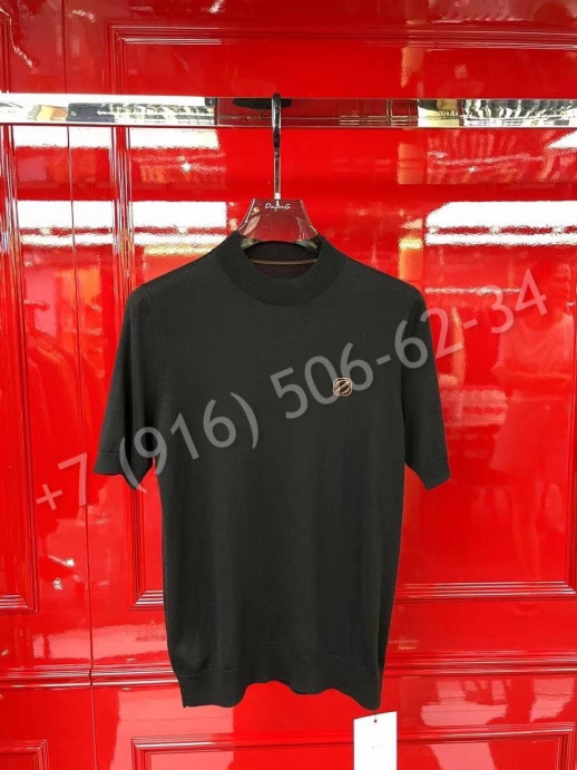 Поло Zegna 23853