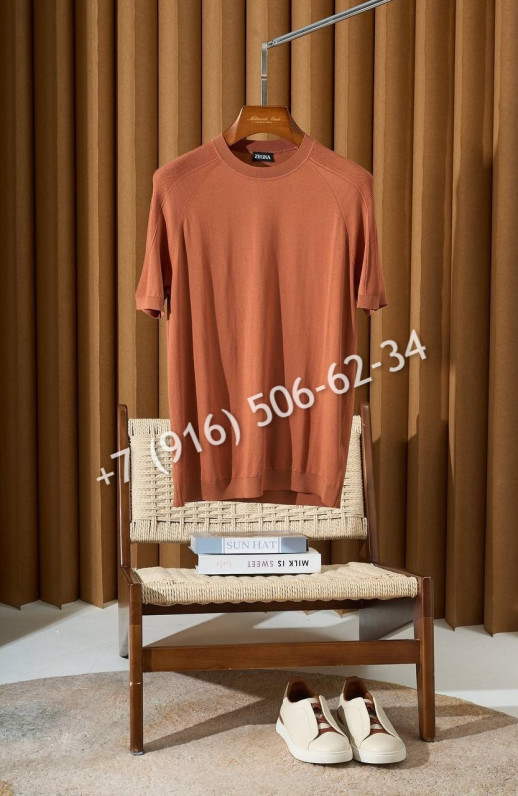 Поло Zegna 29061 2