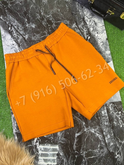 Шорты Zegna 17319