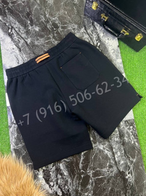 Шорты Zegna 17319