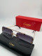 Очки Cartier 13598