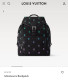 Рюкзак Louis Vuitton 25228 1