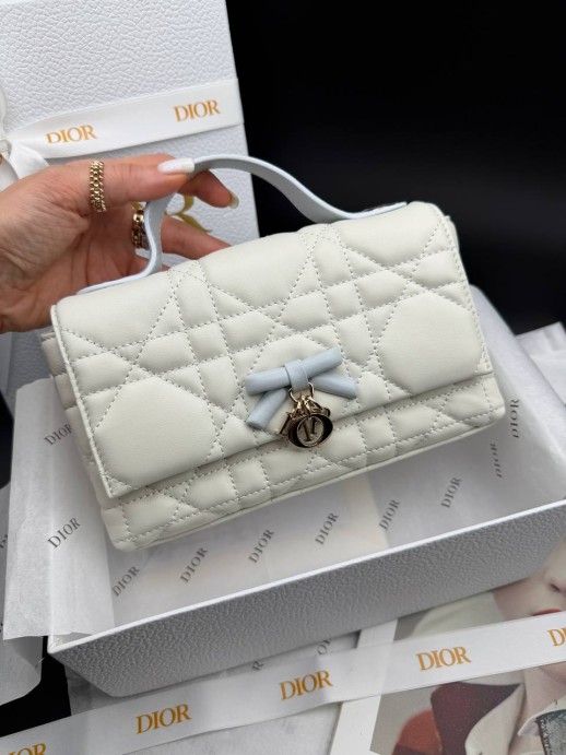 Сумка Dior 33417 1