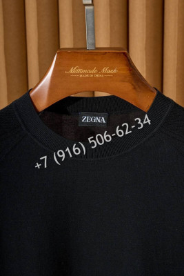 Поло Zegna 29061 4