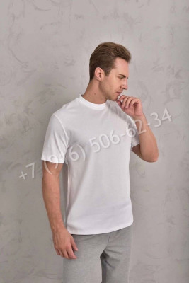 Футболка Loro Piana 17220