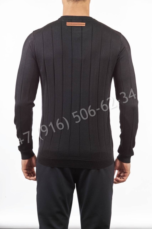 Поло Zegna 21630