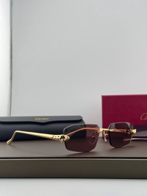 Очки Cartier 36211 1