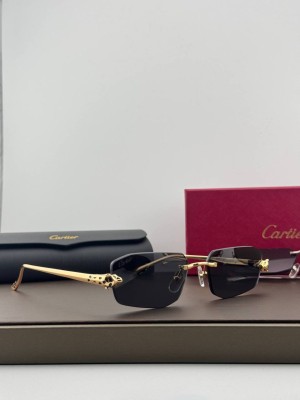Очки Cartier 36211 2
