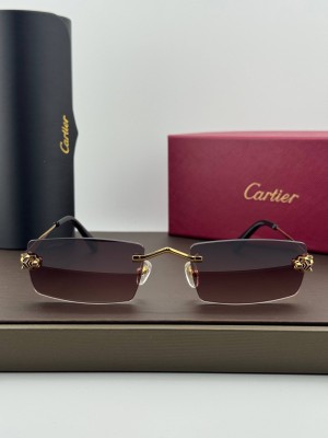 Очки Cartier 26987 3