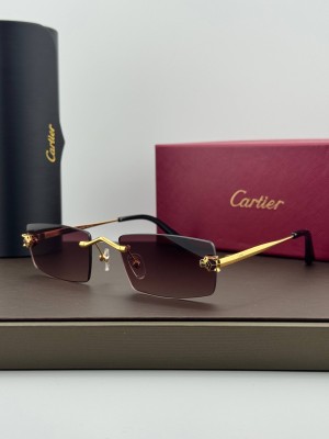 Очки Cartier 26987 3