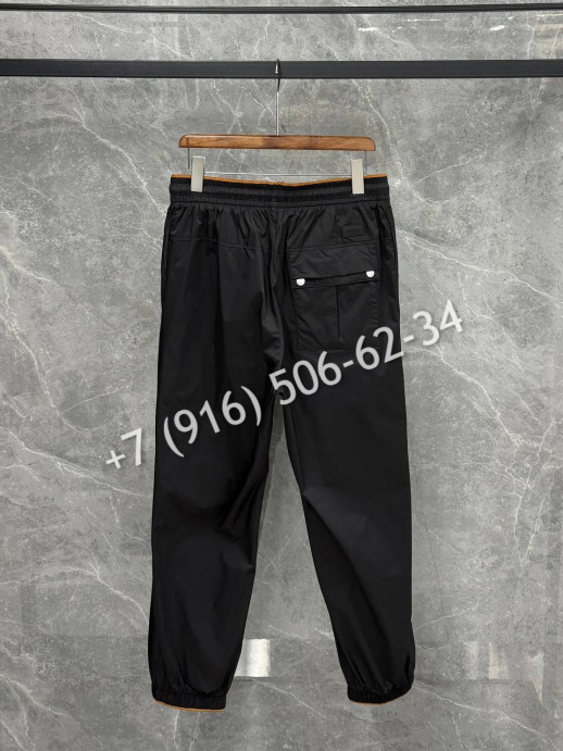 Спортивные брюки Zegna 8789 2