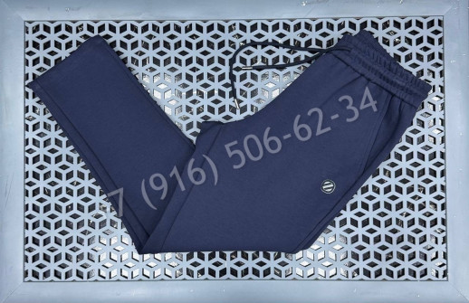 Спортивные штаны Zegna 27712