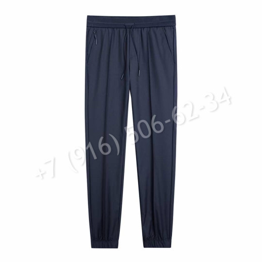 Спортивные штаны Zegna 27412