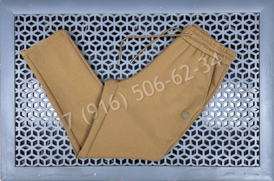 Спортивные штаны Zegna 27713