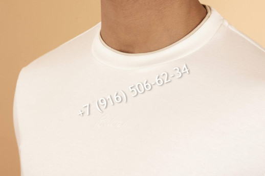 Футболка Brioni 10963 2