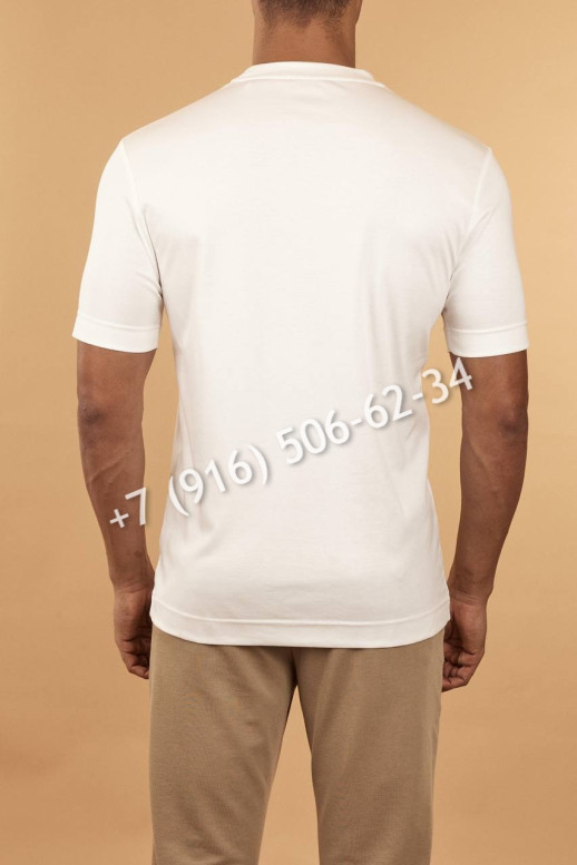 Футболка Brioni 10963 2