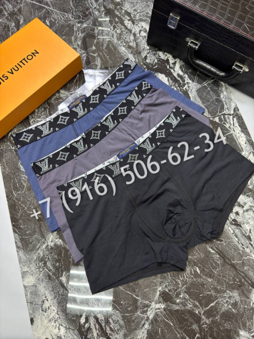 Нижнее Белье Louis Vuitton 9431 1