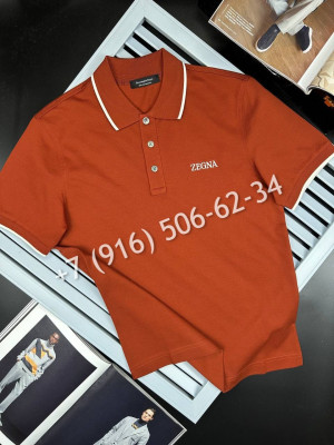 Поло Zegna 18445 5