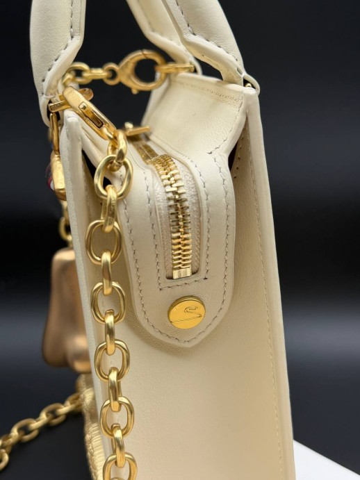 Сумка Schiaparelli 33423