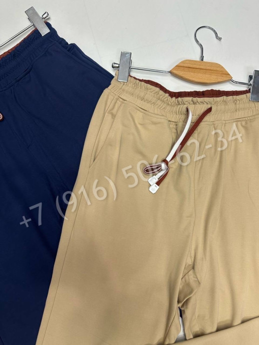 Брюки Loro Piana 29716