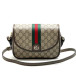 Сумка Gucci 10610
