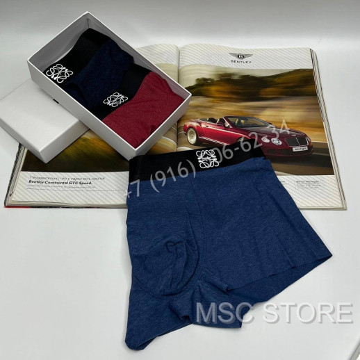 Нижнее Белье Loewe 8480