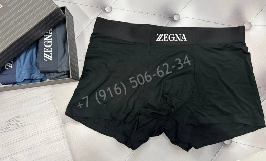 Трусы Zegna 32133