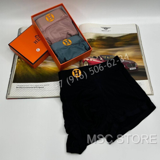 Нижнее Белье Hermes 8485