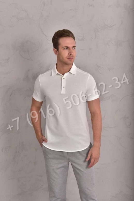 Поло Loro Piana 29622