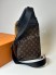 Сумка Louis Vuitton 19816