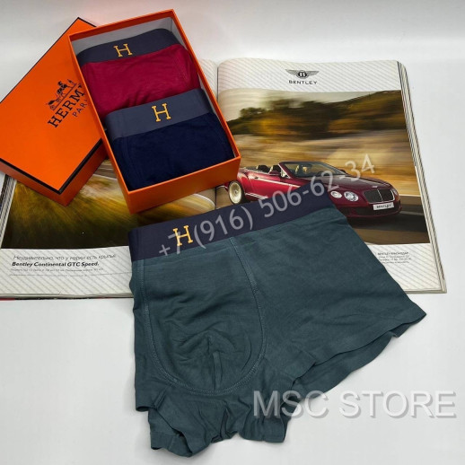 Нижнее Белье Hermes 8486