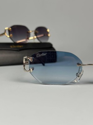Очки Cartier 19019 1