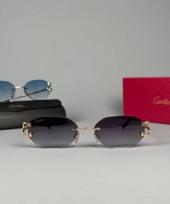 Очки Cartier 19019 1