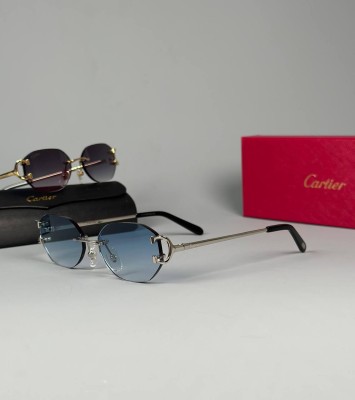 Очки Cartier 19019 1