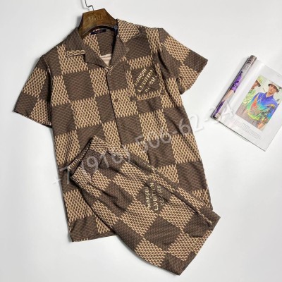 Комплект Louis Vuitton 31835