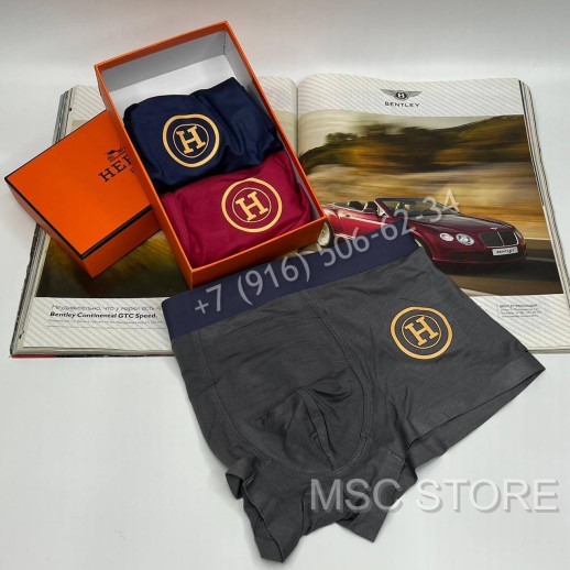 Нижнее Белье Hermes 8488