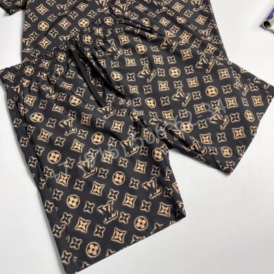 Комплект Louis Vuitton 31836