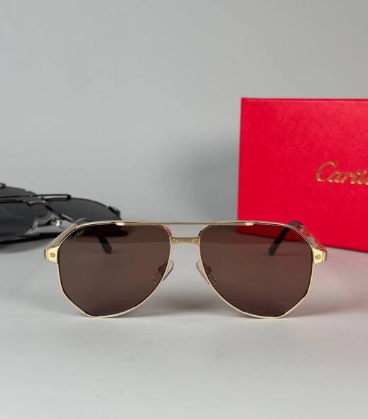 Очки Cartier 19019 2